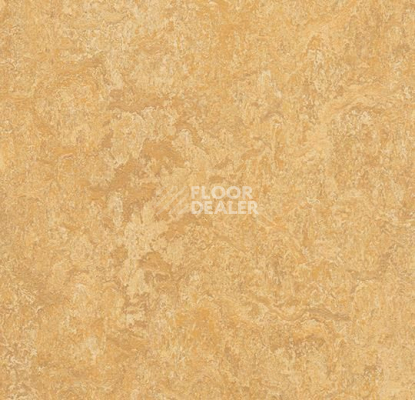 Линолеум Forbo Marmoleum Marbled Authentic 3173 Van Gogh фото 1 | FLOORDEALER